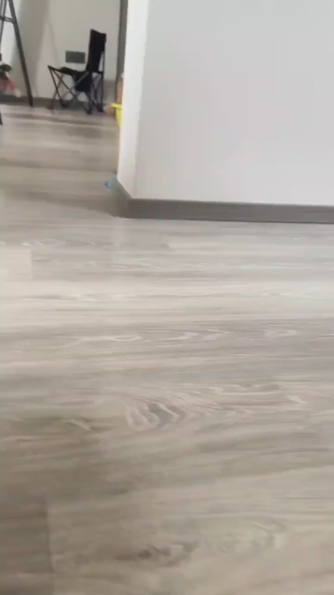 Fato de Halloween para Cães — Fantasia Ajustável